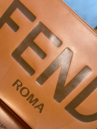 IMG_2392 Pochette Fendi