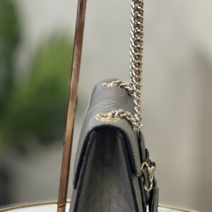 IMG_9626 Sac Gucci Emily