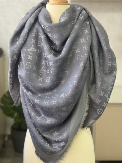 IMG_2482 Écharpe Louis Vuitton