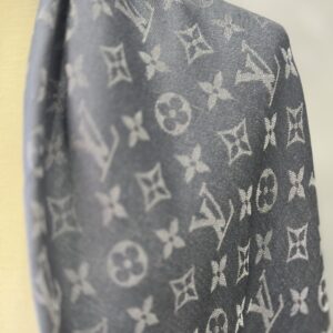 IMG_2485 Écharpe Louis Vuitton