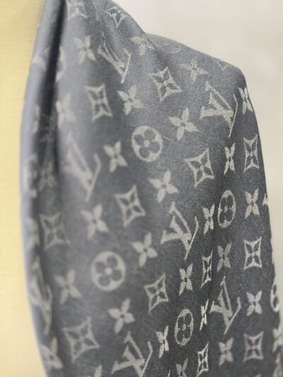 IMG_2485 Écharpe Louis Vuitton
