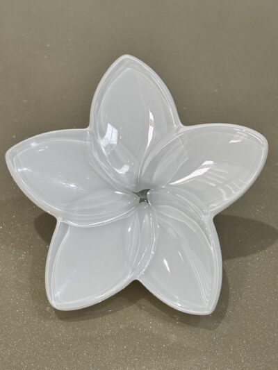 IMG_3672 Fleur Baccarat