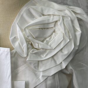 IMG_4687 Chemise Anne Fontaine T.38