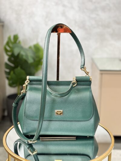 IMG_9611 Sac Dolce Gabbana
