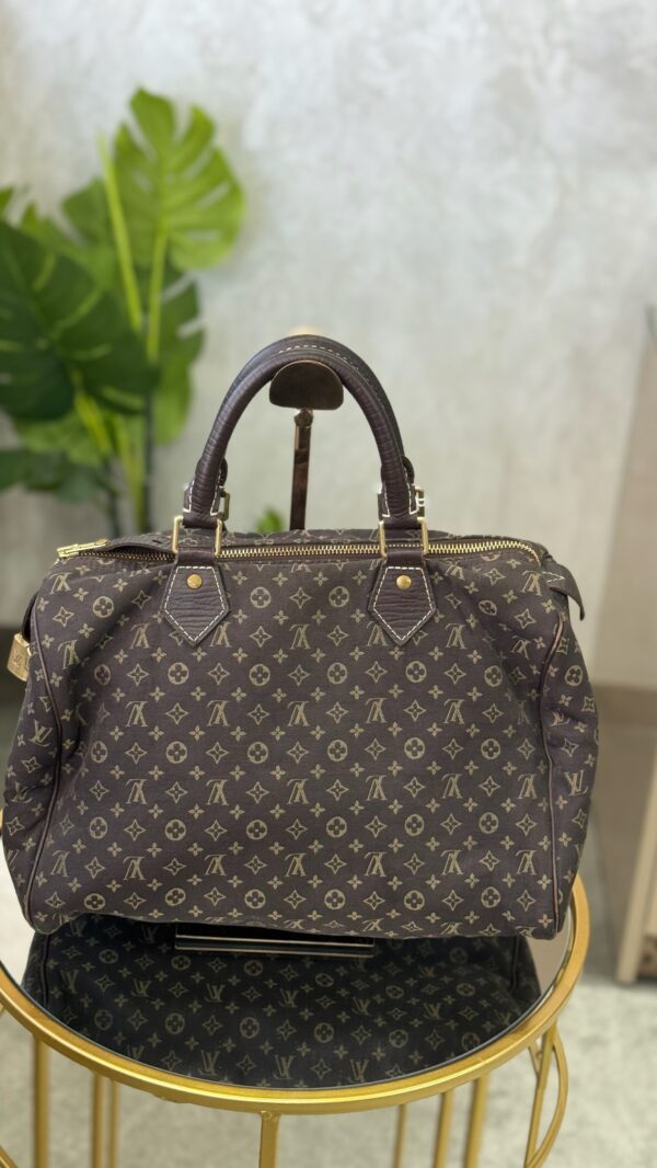 Sac Louis Vuitton
