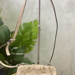 Sac Louis Vuitton
