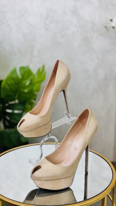 IMG_5382 Escarpins Sergio Rossi T. 39,5