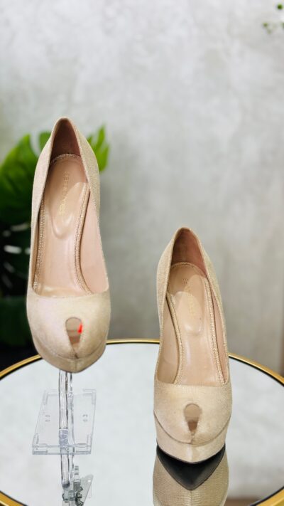 IMG_5383 Escarpins Sergio Rossi T. 39,5