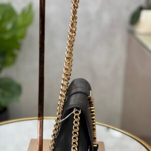 Sac Moschino