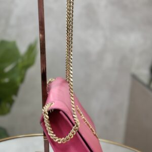 IMG_6675 Sac Saint Laurent