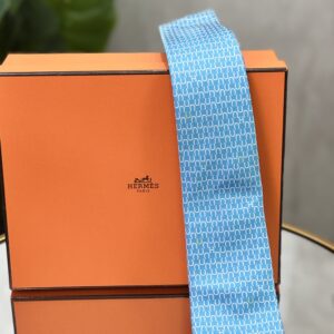IMG_1408 Cravate Hermès