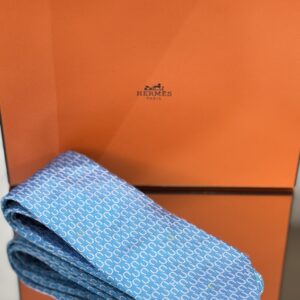 IMG_1409 Cravate Hermès