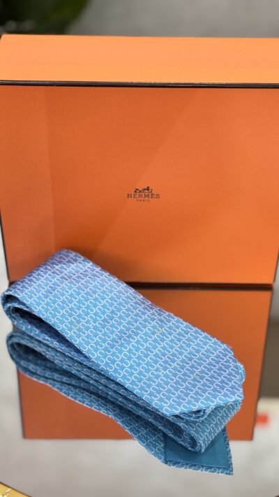 IMG_1409 Cravate Hermès
