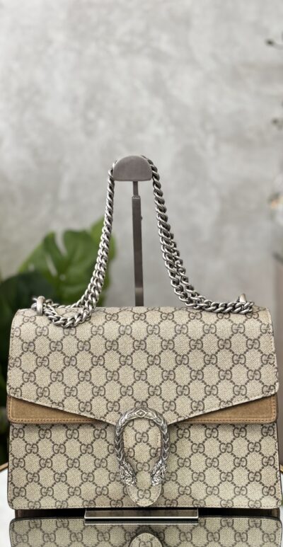 IMG_4582 Sac Gucci