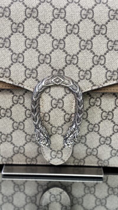 IMG_4583 Sac Gucci