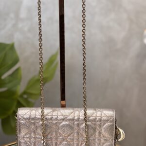 IMG_5018 Sac pochette Dior