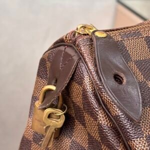 IMG_0650 Sac Louis Vuitton Speedy 35