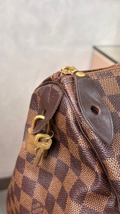 IMG_0650 Sac Louis Vuitton Speedy 35