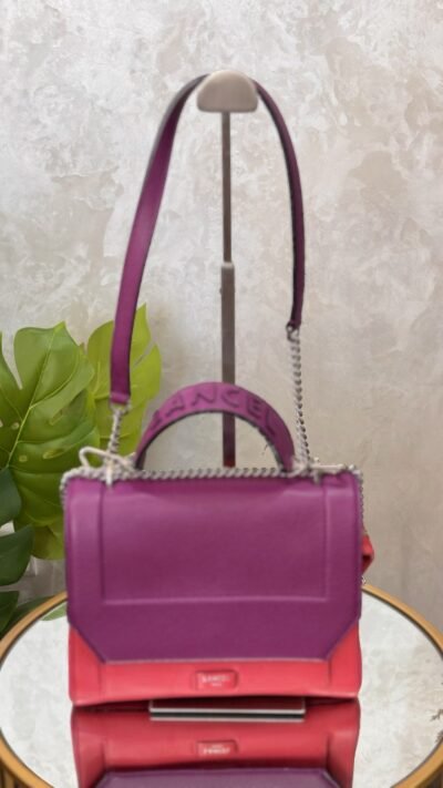 IMG_1733 Sac Lancel