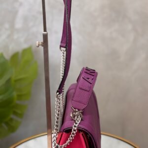 IMG_1735 Sac Lancel