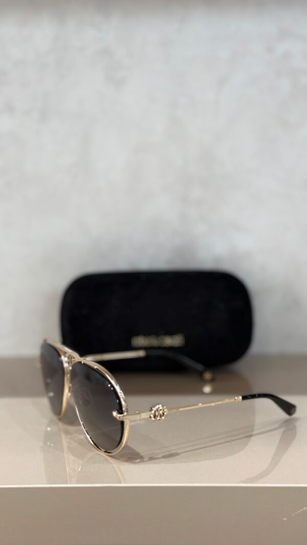 Lunettes Roberto Cavalli